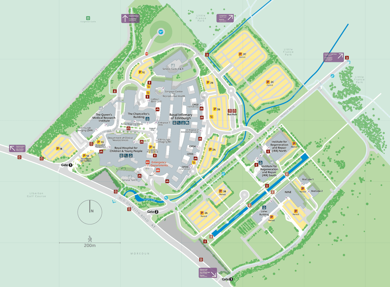 The current site plan